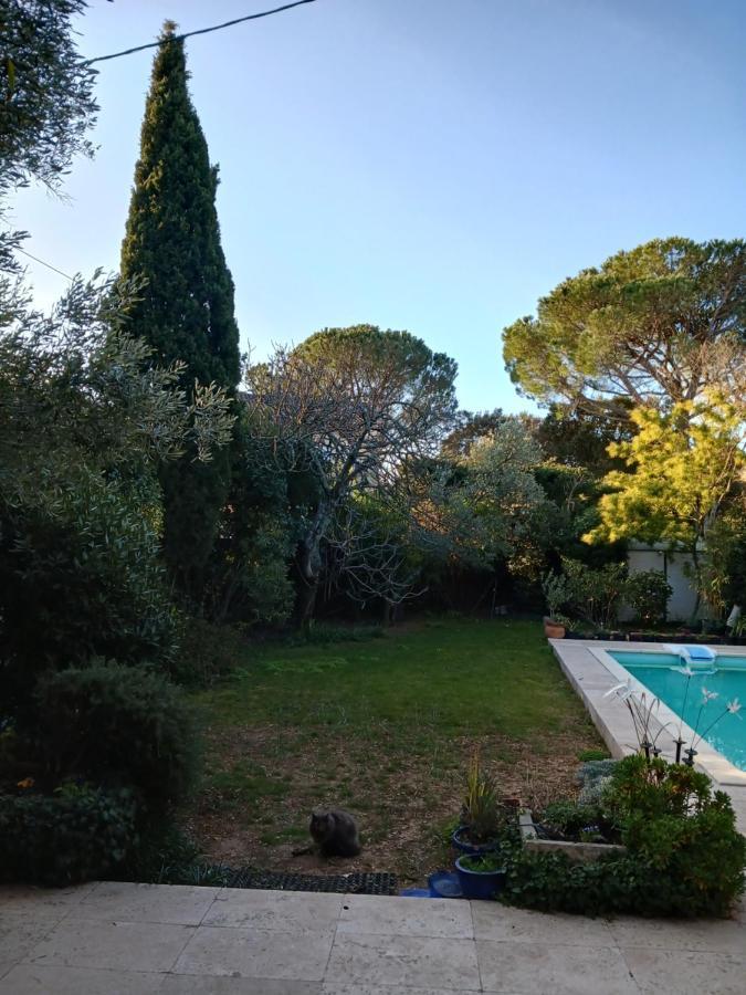 Studio Charmant Et Calme Villeneuve Les Avignon Entree Et Cour Independantes Climatisation Piscine Parking Ngoại thất bức ảnh